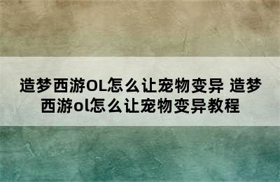 造梦西游OL怎么让宠物变异 造梦西游ol怎么让宠物变异教程